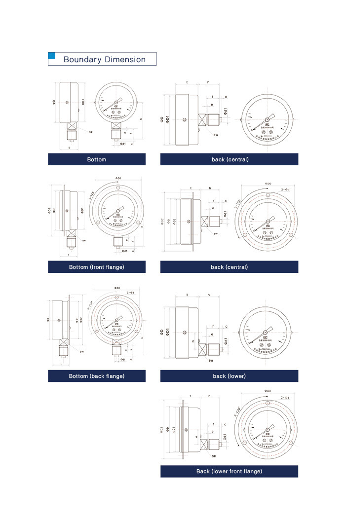 Hot Sales New Design Economic General Pressure Gauge