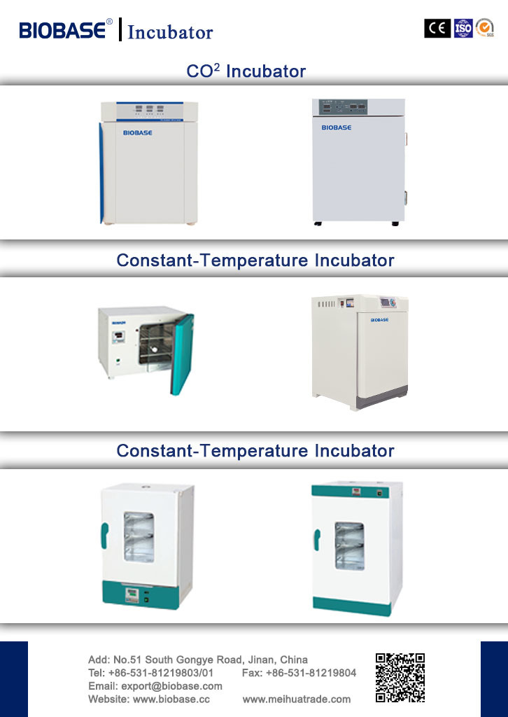 Low Temperature Biochemistry Incubator for Laboratory Use BOD Incubator