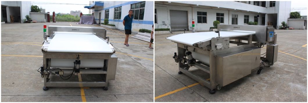 Customized Food Metal Detector Machine with Rejection System