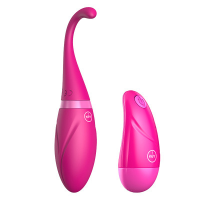 10 Speed Remote Control Wireless Vibrator Egg G-Spot Massage Clitoris Stimulator Women Sex Toys