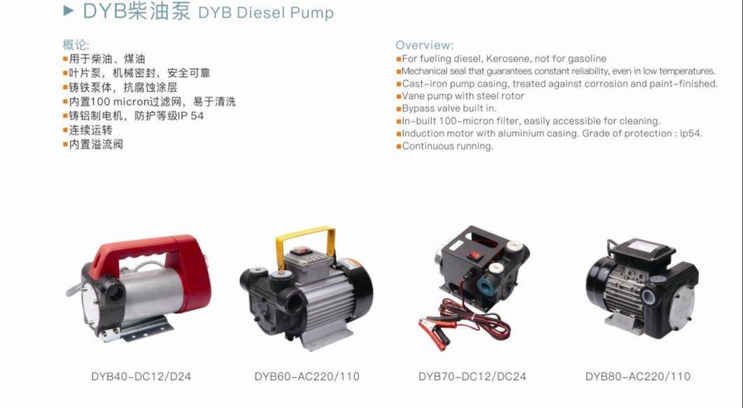 Dyb80 Electric Transfer Pumps AC 110V, 220V