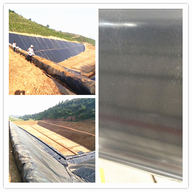 Paper Mill Uses HDPE Geomembrane Sheet/Liner