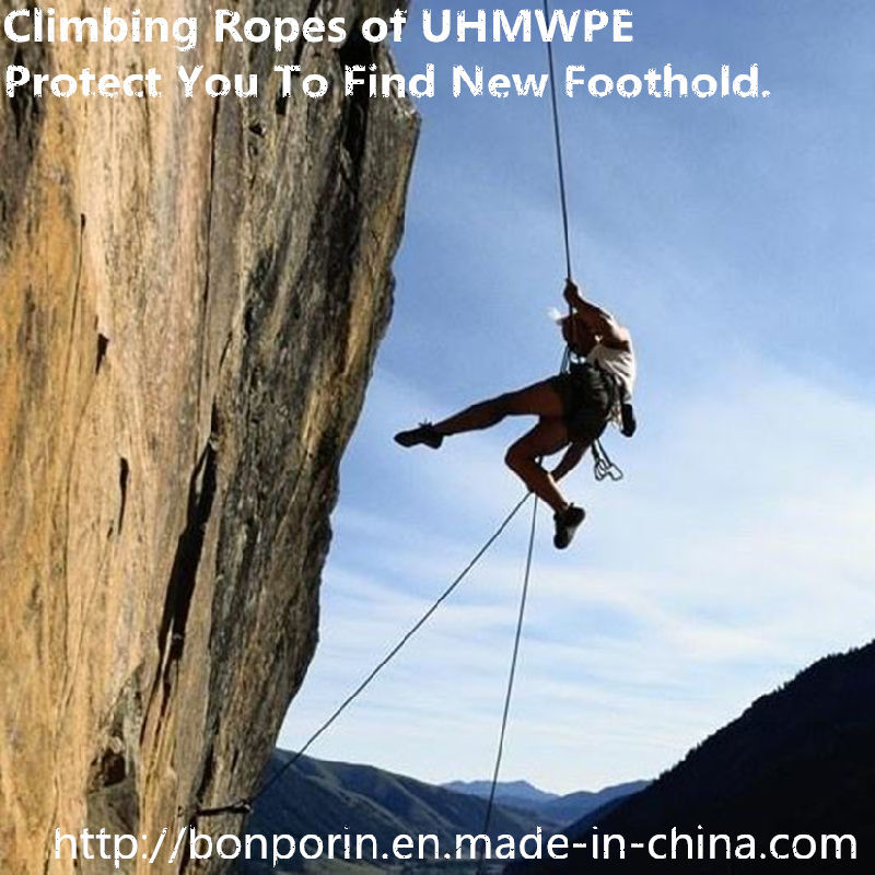 Chemical Fiber Uhwmpe for Rock Climbing Safety Rope