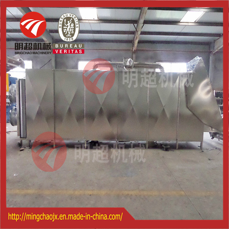 Tunnel Type Hot Air Drying Machine/Pitaya Slice Belt Dryer Chamber