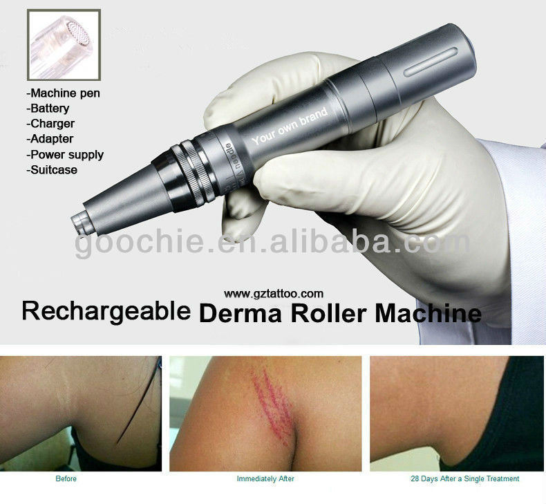 Rechargeable Nano Micro Needle Derma Pen