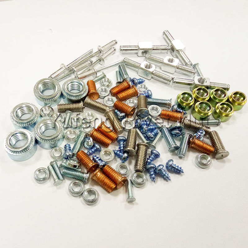 Fasteners/Bolt, Self-Clinching Nut, Rivet, Round Nut, Screw