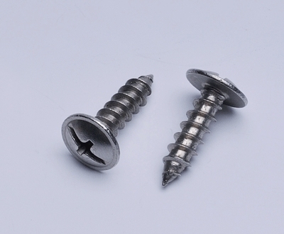 China Philips Modified Thruss Head Coarse Thread Self Tapping Screw with High Quality