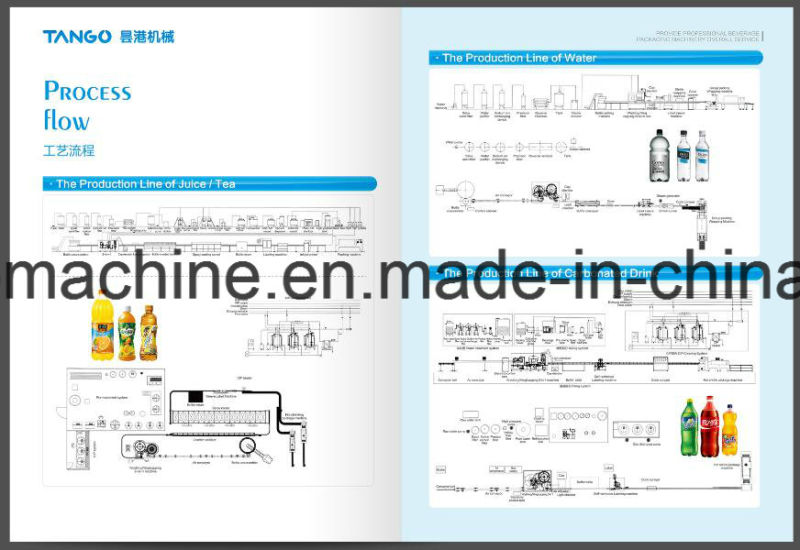 Complete Bottle Water Treatment Filling Package Bottling Equipment