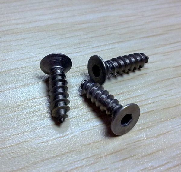 Stainless Steel Torx Socket Head Security Self Tapping Screw