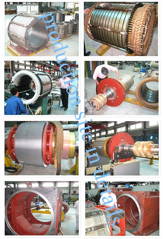 Industrial Heavy Duty Electric DC Motor