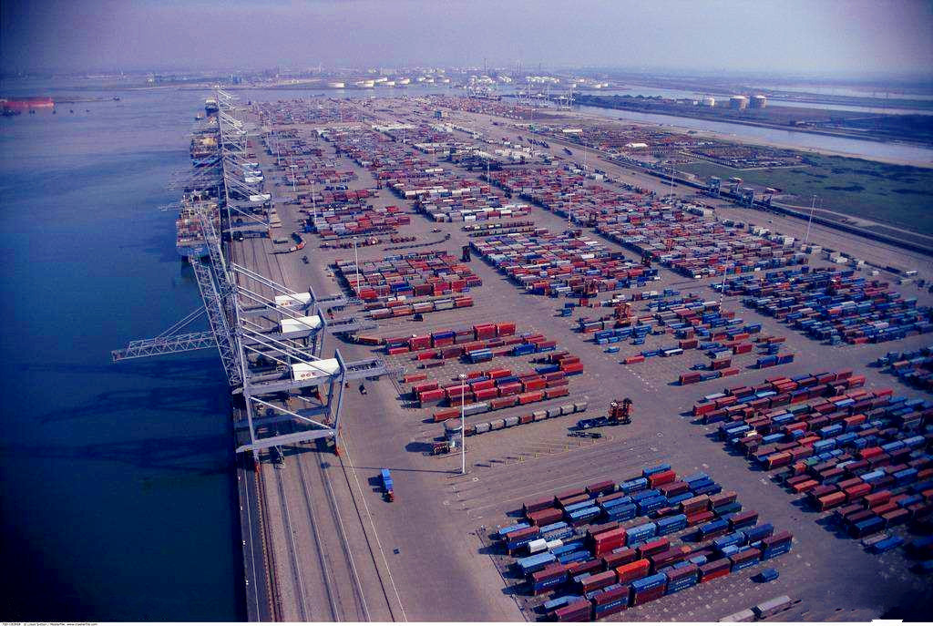 LCL Consolidation Shipping Freight From Guangzhou to Japan