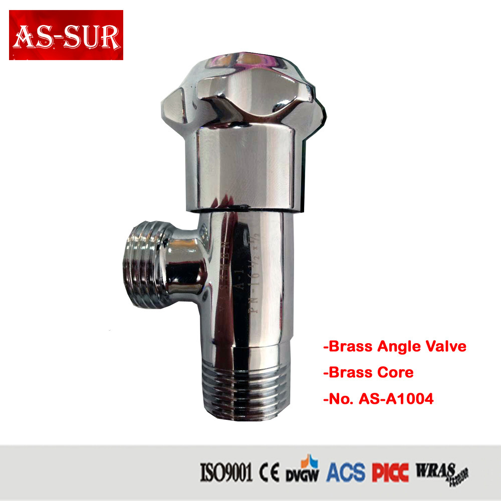 Brass Angle Globe Valve as-A1004