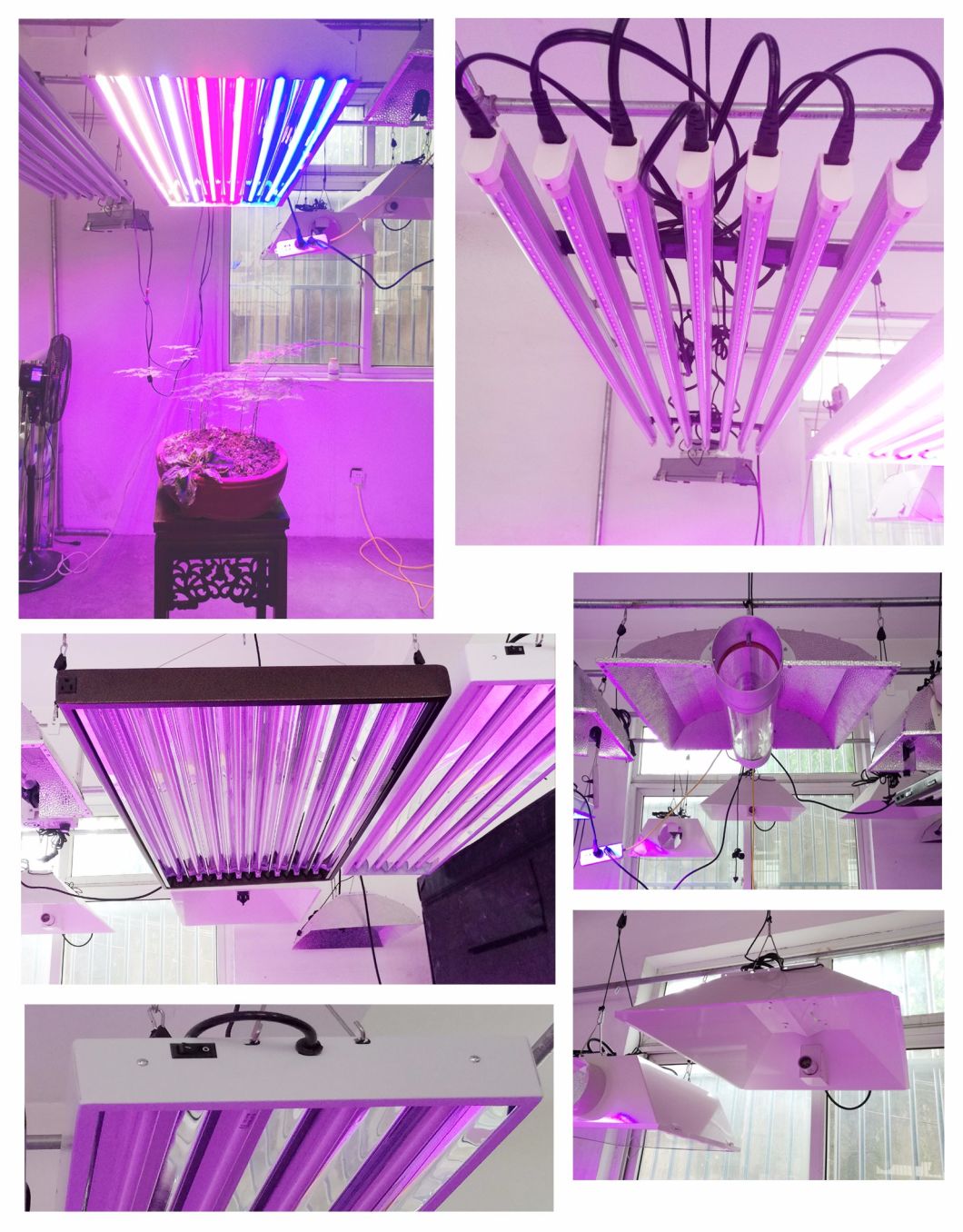 High-Power LED Plant Grow Light with Ce / UL