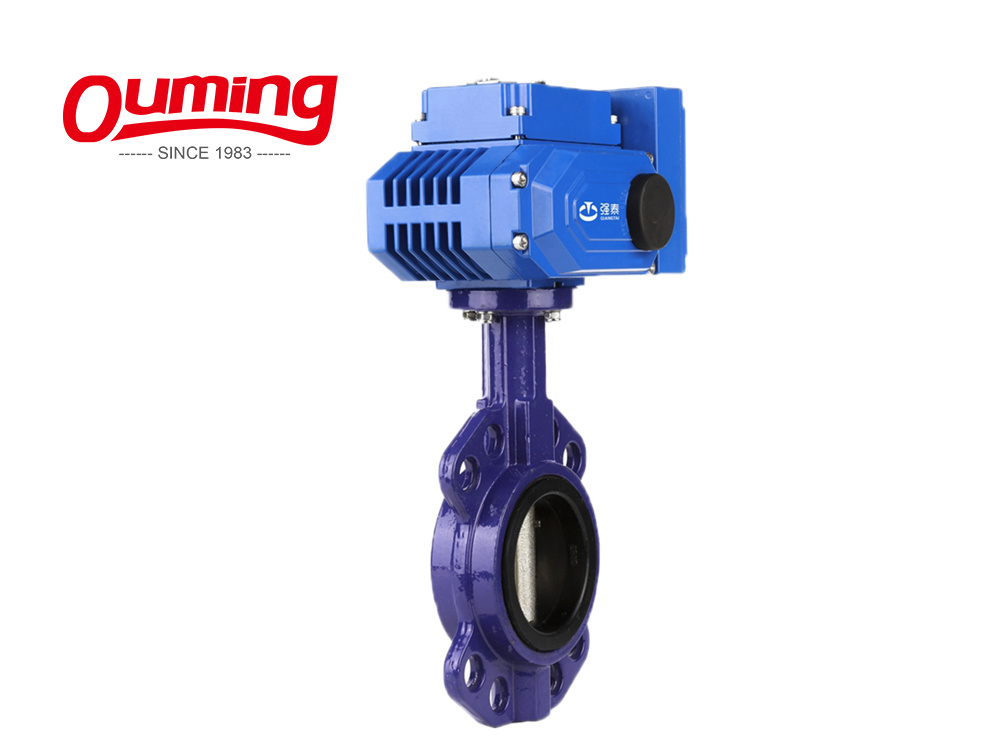 Low Price Pneumatic CF8m Dn100 Butterfly Check Valve