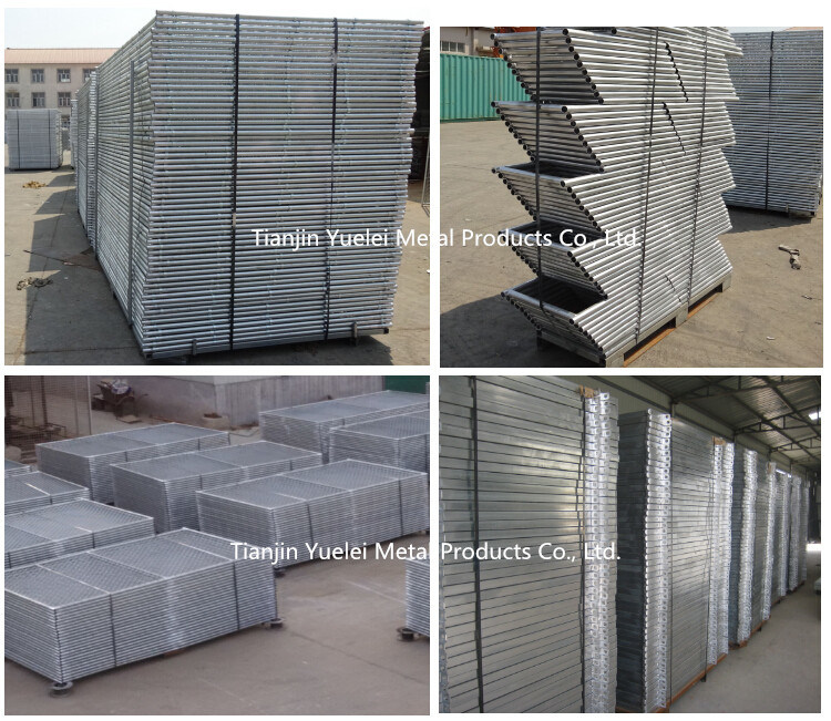 China Factory Supplied Fence Panels/Oval Pipe Galvanized Cattle Panel/6 Bars Steel Cattle Corral Panels/Hot Dipped Galvanized Cattle Livetsock Panels