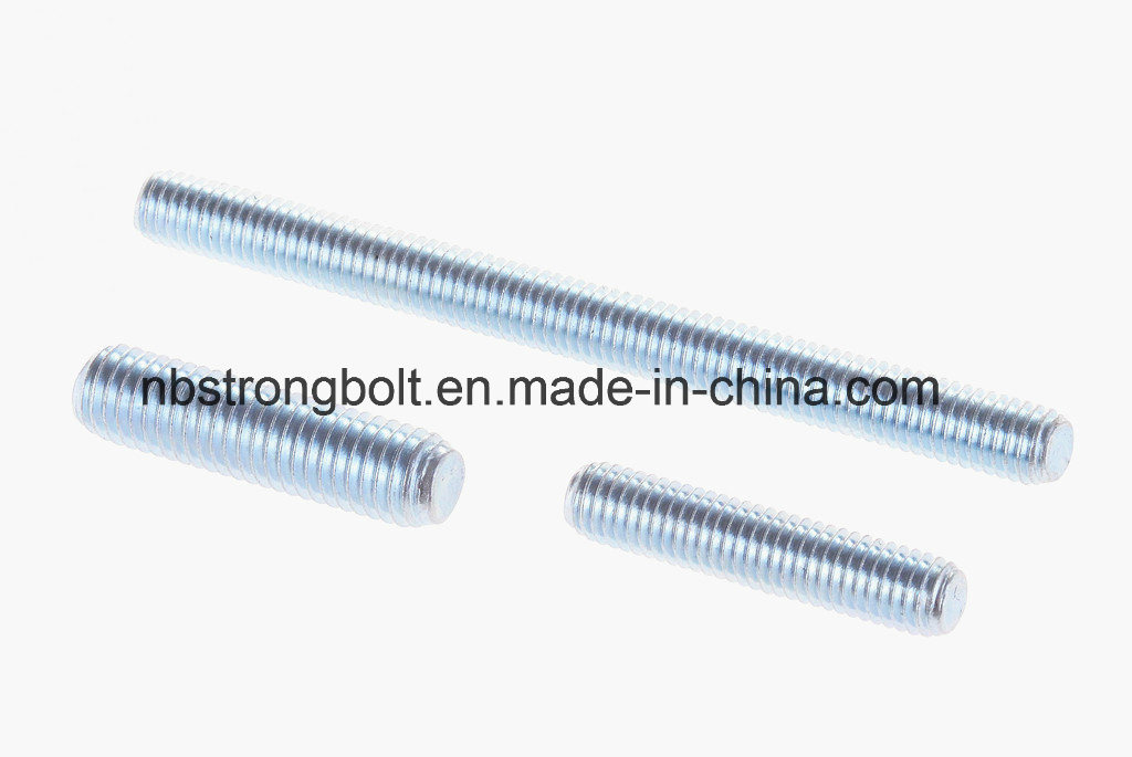 Threaded Rod /Stud Bolt (DIN975 DIN976)