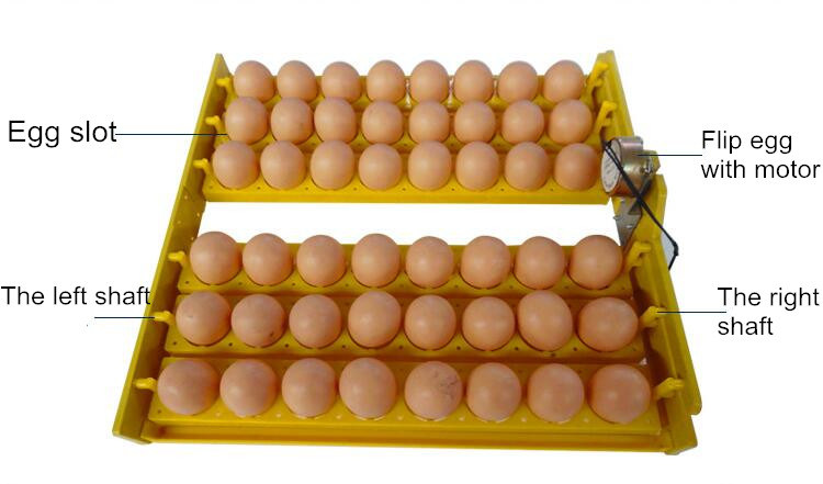 Automatic Turning Small Poultry 88 Chicken Egg Incubator