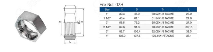 Sanitary Stainless Steel Pipe Union Tube Fittings SMS-13rbn Blank Nut with Chain