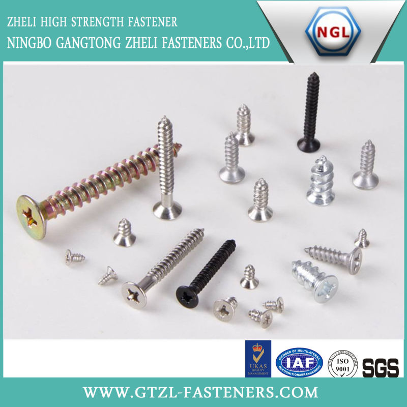 Black Self Tapping Screw/ Drywallscrew/ Wood Screw