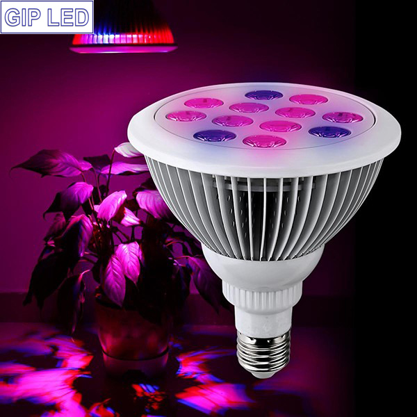 Gip PAR38 12W LED Plant Grow Light for Indoor Application