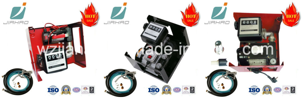 Electric Fuel Transfer Oil Pump/12V Pump for Diesel/Kerosene/DC Pump