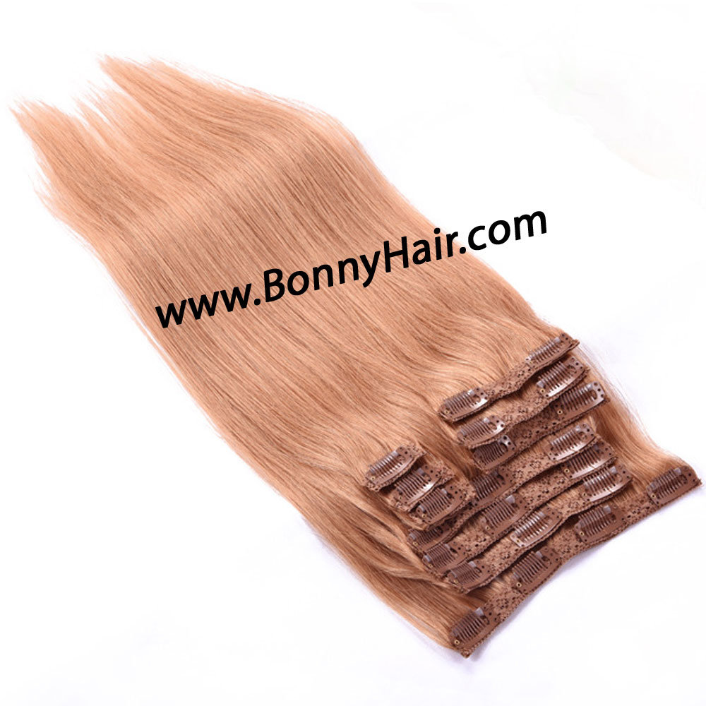 Clip on Hair Extension Indian Virgin Human Remy Hair Extension