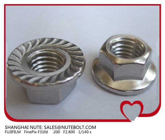 HexagonÂ  Flange Nuts DIN6923 StainlessÂ  SteelÂ  316