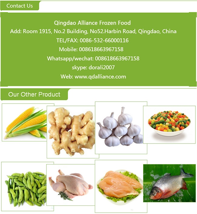 Dehydrated Diced Green Onion with Good Price