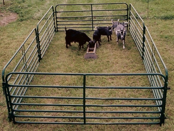 Galvanized Sheep Metal Mesh Fencing Temporary Farm Fencing