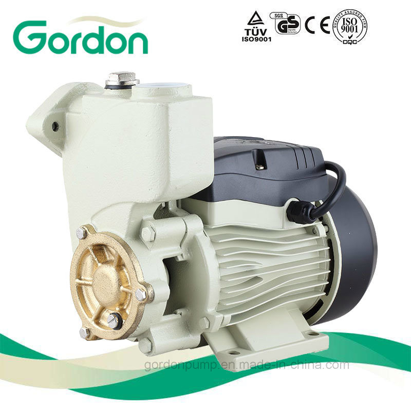 Domestic Copper Wire Self-Priming Gardon Water Pump with Brass Impeller