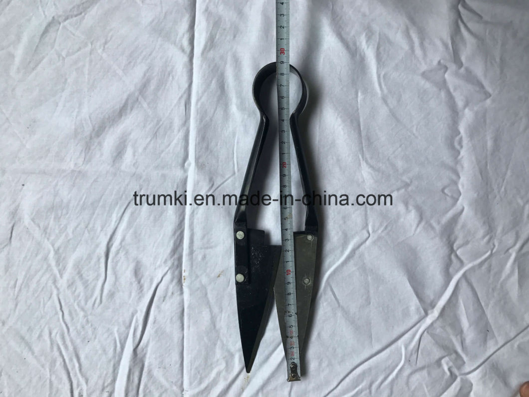 Manual Sheep Shears, Veterinary Instruments