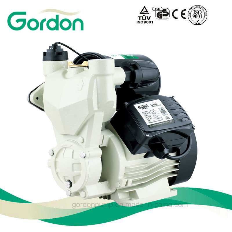 Domestic Electric Copper Wire Self-Priming Auto Pump with Micro Switch