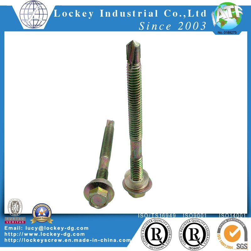 Stainless Steel Screw Ss410 Hex Washer Head Self Drilling Screw