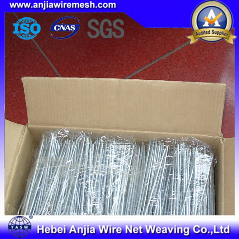 Black Iron Wire for Construction Materials with SGS