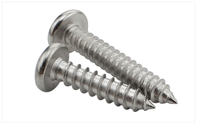 Stainless Steel 304 Cross Recesed Round Head Tapping Chipboard Screw