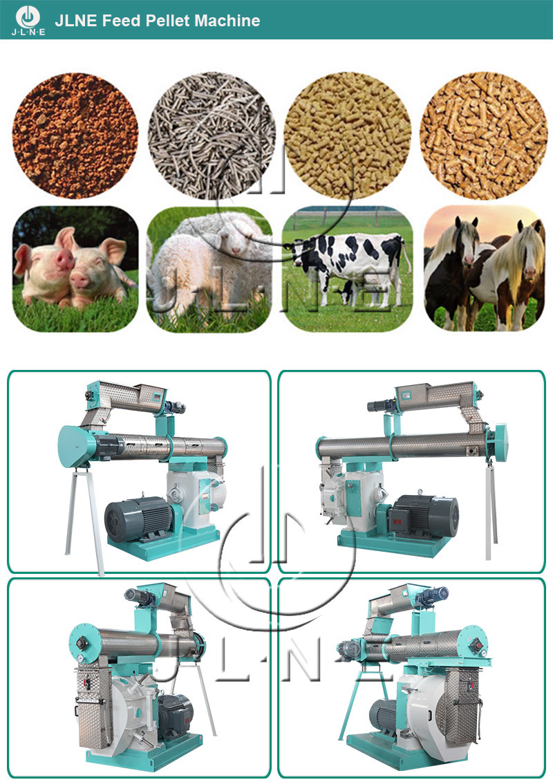 Professional Manufacturers Animal Feed Pelletizer Price Promotion