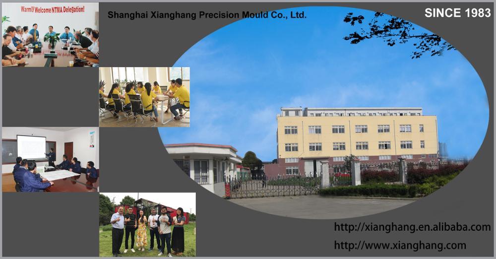 OEM Shanghai Plastic Injection Mold Maker