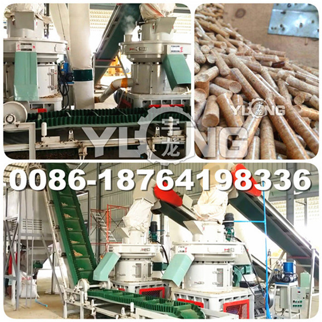 Yulong 1 Ton/Hour Sawdust Granulating Machine