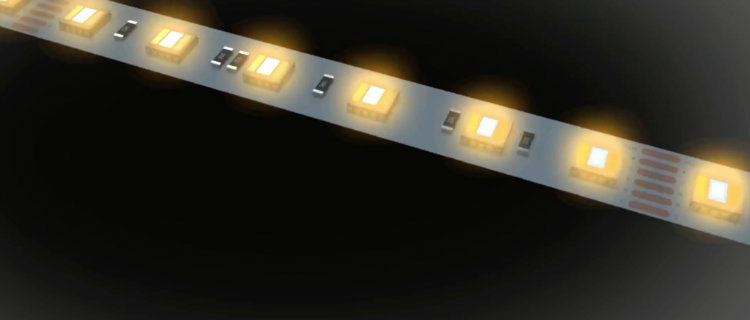 EXW Manufacturer 3528 2835 5050SMD Flexible LED Strip Rgbww 8mm/10mm/12mm Optional PCB Board LED Neon Flex Strip for Outdoor LED Lighting