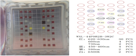 Hot Selling Energy Saving COB LED Grow Light with 600W