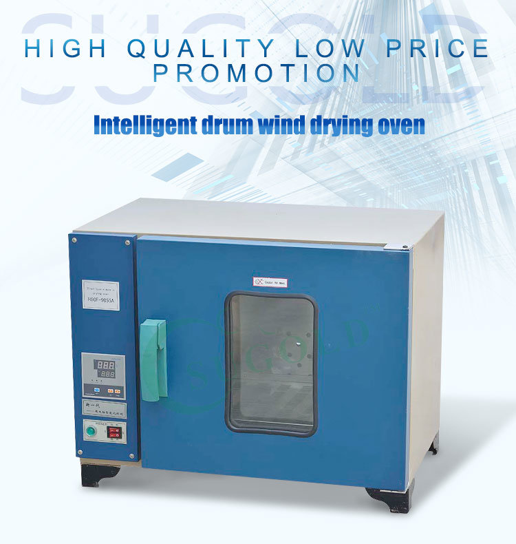 Dhg Series Drying Hot Oven Big Chamber