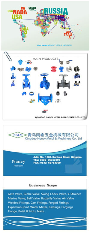 Thin Type Single Disc Swing Check Valve with Spring