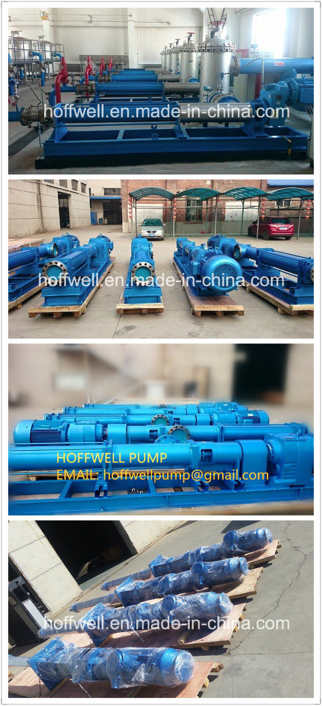 CE Approved GCN Marine Bilge Mono Screw Pump