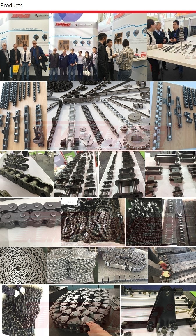 Motorcycle Normal Type Precision Roller Chains ANSI/ISO Standard