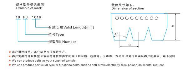 pH Pj Pk Pl Pm Type Poly V-Belt