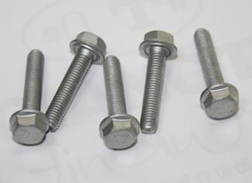 Stainless Steel 304/316 DIN6921 Hexagon Flange Head Bolt