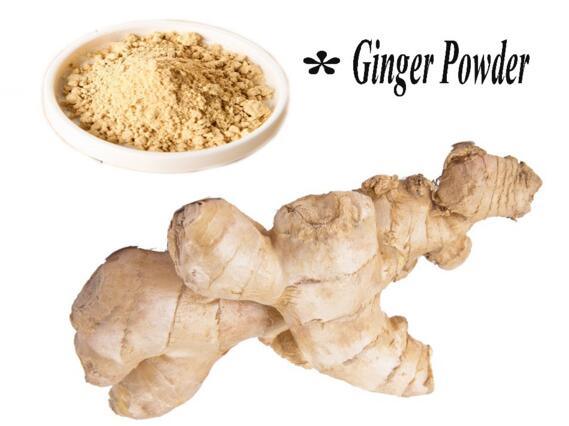 New Product Wholesale Natural Ginger From China for Sale, Ginger Powder