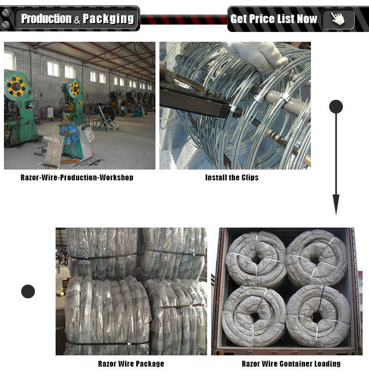 Galvanized Iron Wire Razor Barbed Fence