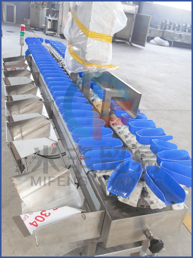 Economic Weight Sorting Machine for Fish and Seafood