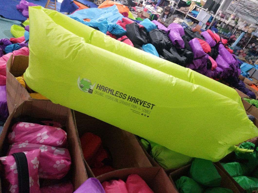 Purple Handout Air Bed for Outdoor